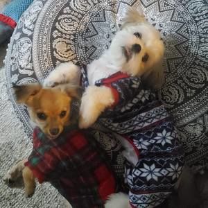 Meet your Posher, Tara